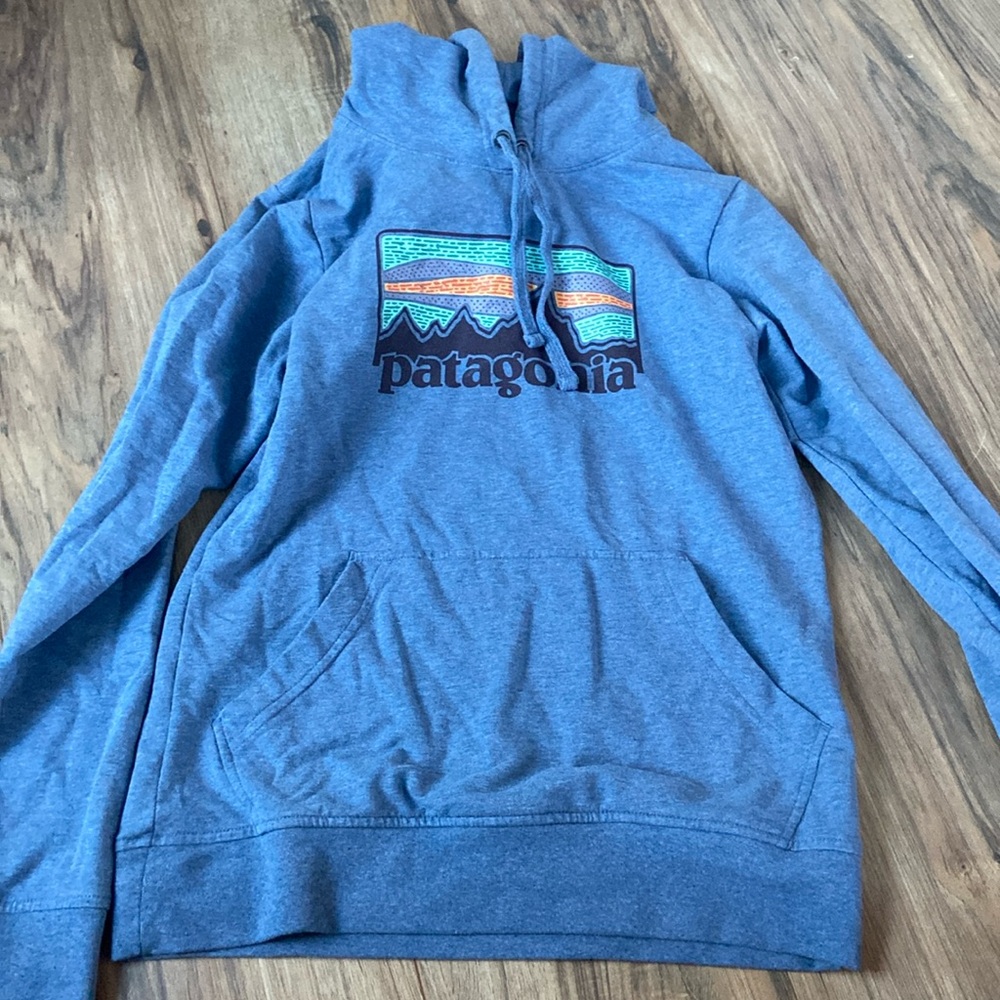 Patagonia blue hoodie